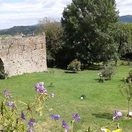 Le Clos De Soulages Gite 2 Pers Palmas Exteriér fotografie